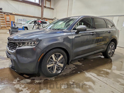 Kia Sorento 2021 5XYRGDLC1MG057453