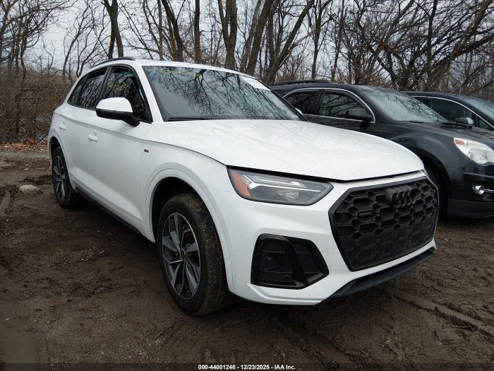 Audi Q5 2024 VIN WA1GAAFY0R2118270