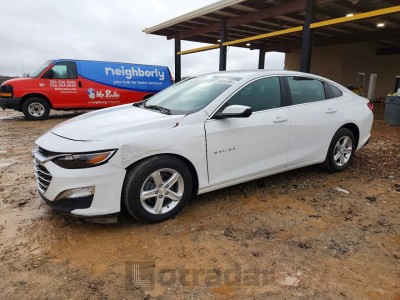 Chevrolet Malibu 2024 1G1ZC5ST1RF196908