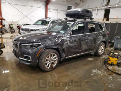 BMW X5 2023 5UXCR6C0XP9N68696