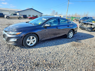 Chevrolet Malibu 2023 1G1ZB5ST7PF123042