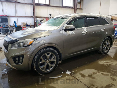 Kia Sorento 2016 5XYPKDA51GG157244