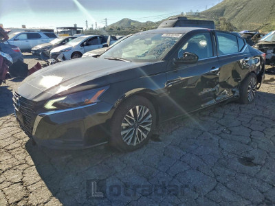 Nissan Altima 2024 1N4BL4DV2RN348613