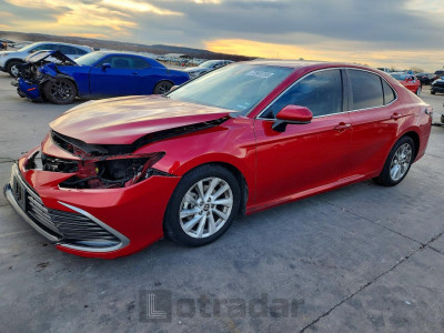 Toyota Camry 2023 4T1C11AK6PU104670