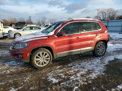 Volkswagen Tiguan 2015 VIN WVGAV7AX9FW004141