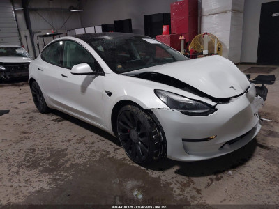 Tesla Model 3 2023 5YJ3E1EC6PF491550