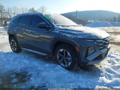 Hyundai Tucson 2025 5NMJBCDE8SH538194