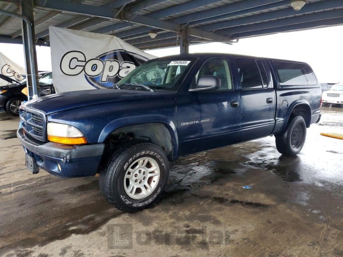 Dodge Dakota 2002 VIN 1B7HG38N52S621029