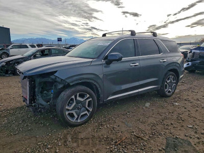 Hyundai Palisade 2025 KM8R4DGE9SU809184