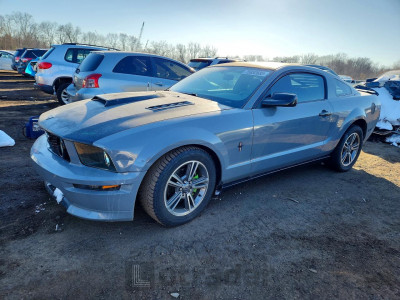 Ford Mustang 2007 1ZVHT80N275290028