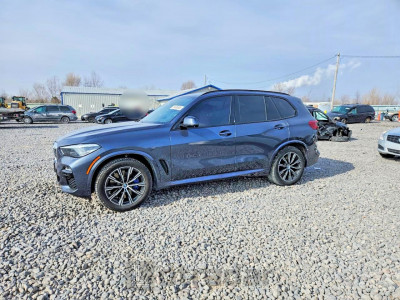 BMW X5 2019 5UXJU2C50KLN66221