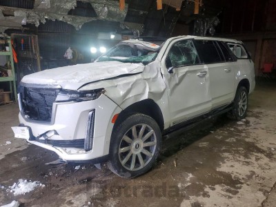 Cadillac Escalade esv 2022 1GYS4MKL7NR176102