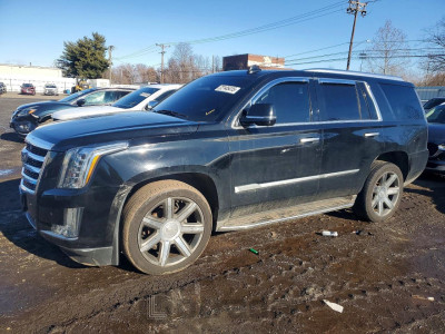 Cadillac Escalade 2016 1GYS4BKJ3GR458095
