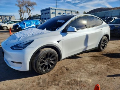 Tesla Model y 2023 VIN 7SAYGDEE8PA093534