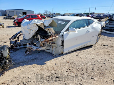 Chevrolet Camaro 2019 1G1FB1RX1K0131928
