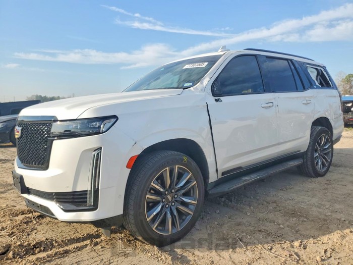 Cadillac Escalade 2022 VIN 1GYS4EKLXNR289662
