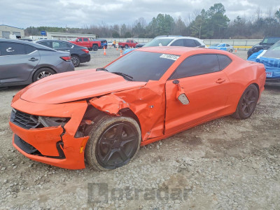 Chevrolet Camaro 2019 1G1FB1RX1K0125174