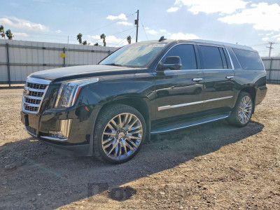 Cadillac Escalade esv 2019 1GYS3HKJ5KR115125