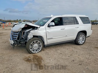 Cadillac Escalade 2019 VIN 1GYS4DKJ0KR260675