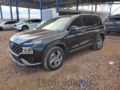 Hyundai Santa fe 2023 5NMS24AJ7PH656157