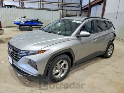 Hyundai Tucson 2024 5NMJB3DE2RH296156
