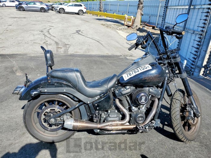 Harley-davidson Fxlrs 2021 VIN 1HD1YWK23MB067649