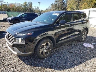 Hyundai Santa fe 2021 5NMS14AJ9MH307046
