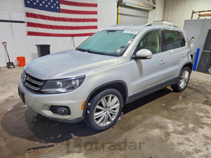 Volkswagen Tiguan 2013 VIN WVGBV7AXXDW528786