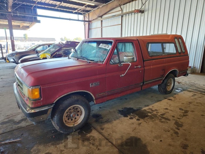 Ford F-150 1991 VIN 1FTDF15N8MNA33007