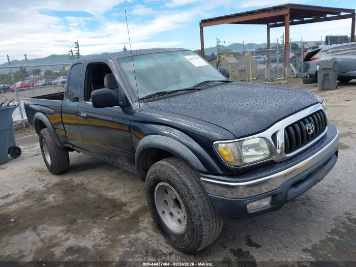 Toyota Tacoma 2001 VIN 5TESM92N61Z858276