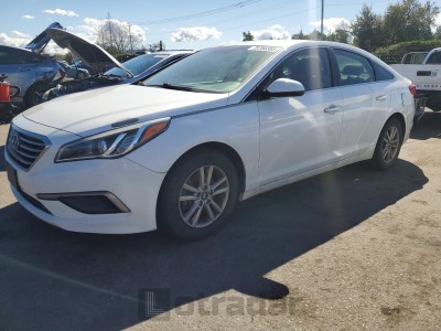 Hyundai Sonata 2016 VIN 5NPE24AF4GH393704