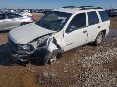 Chevrolet Trailblazer 2002 1GNDS13SX22391915