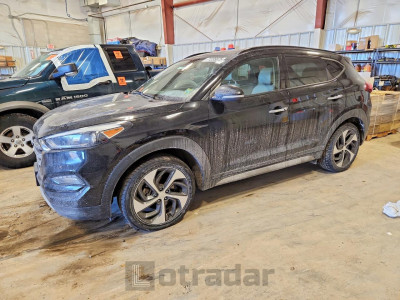 Hyundai Tucson 2017 KM8J3CA27HU276799