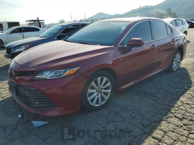 Toyota Camry 2020 4T1C11AK7LU333031