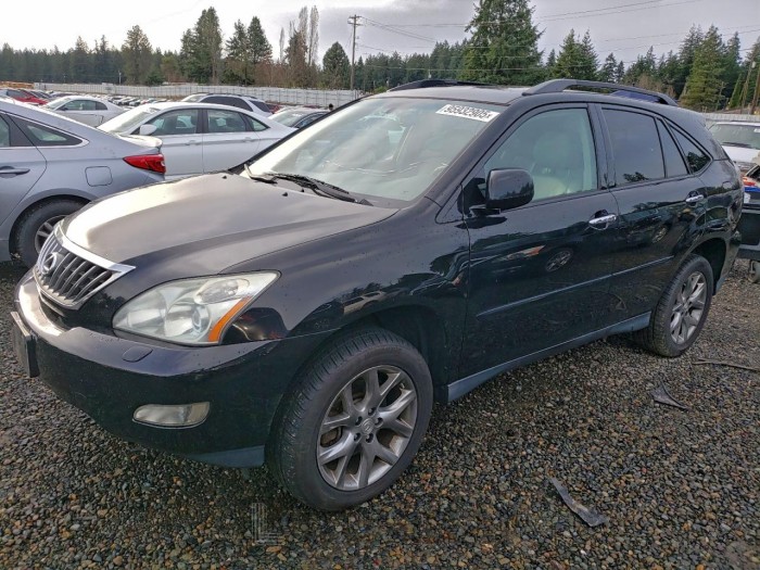 Lexus Rx 2009 VIN 2T2HK31UX9C119687