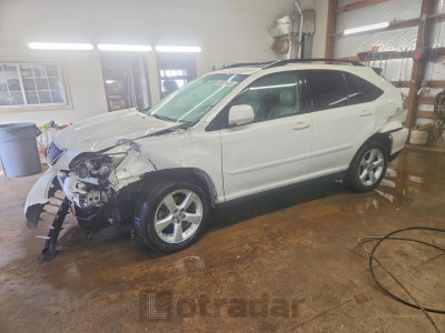 Lexus Rx 2006 2T2GA31UX6C050901