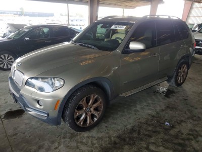 BMW X5 2007 5UXFE83567LZ45608