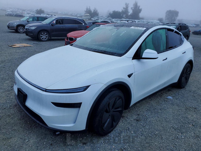 Tesla Model y 2026 VIN 7SAYGDEE3TF358549