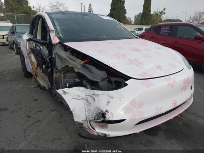 Tesla Model y 2025 7SAYGDED5SF249158