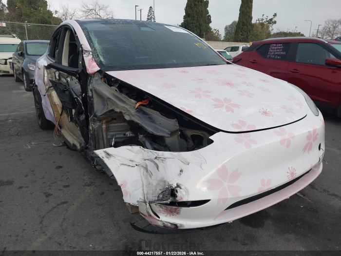 Tesla Model y 2025 VIN 7SAYGDED5SF249158
