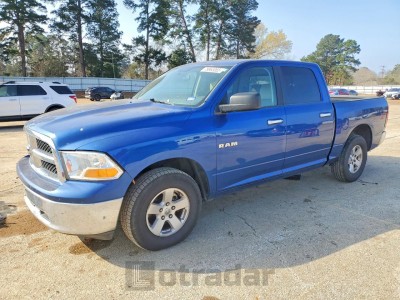 Dodge Ram 2009 1D3HB13P19S701568