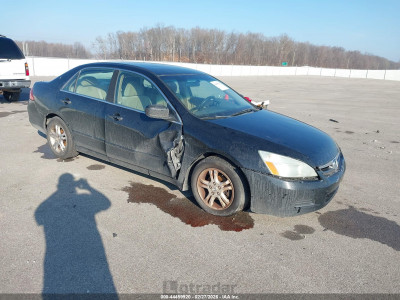 Honda Accord 2006 1HGCM56376A172045