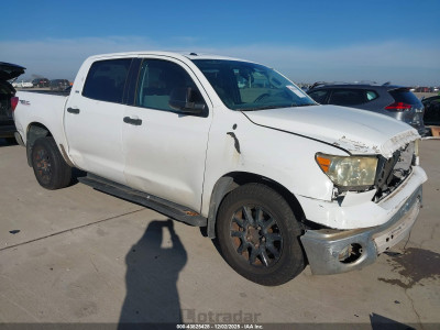 Toyota Tundra 2010 5TFEY5F15AX097748