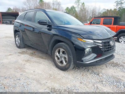 Hyundai Tucson 2024 5NMJBCDE1RH323783
