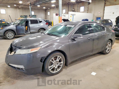 Acura Tl 2009 19UUA86229A004596