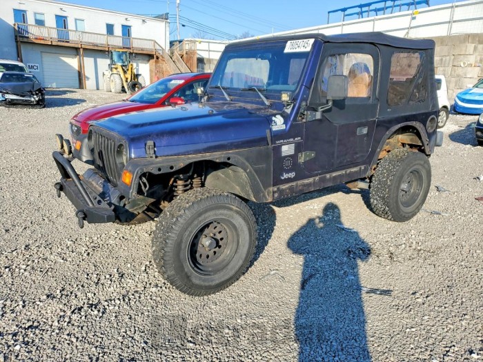 Jeep Wrangler / 1998 VIN 1J4FY29P8WP805964