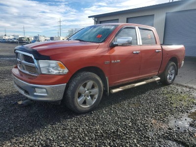 Dodge Ram 2009 1D3HV13TX9S787032