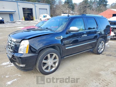 Cadillac Escalade 2010 1GYUKCEF3AR151478