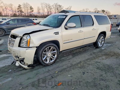 Cadillac Escalade 2010 1GYUKKEF4AR195502