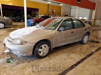 Chevrolet Cavalier 2003 1G1JF52F237125149